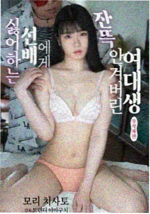 神马奇缘 在线观看